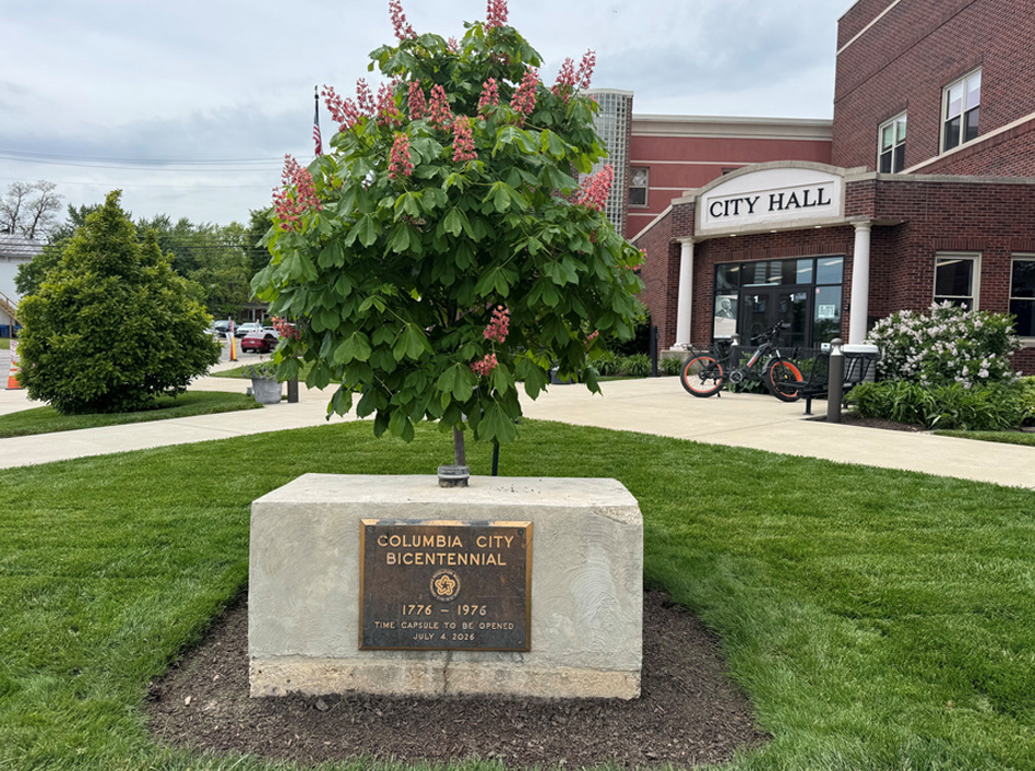 City Scene: Celebrating America’s 250 Birthday