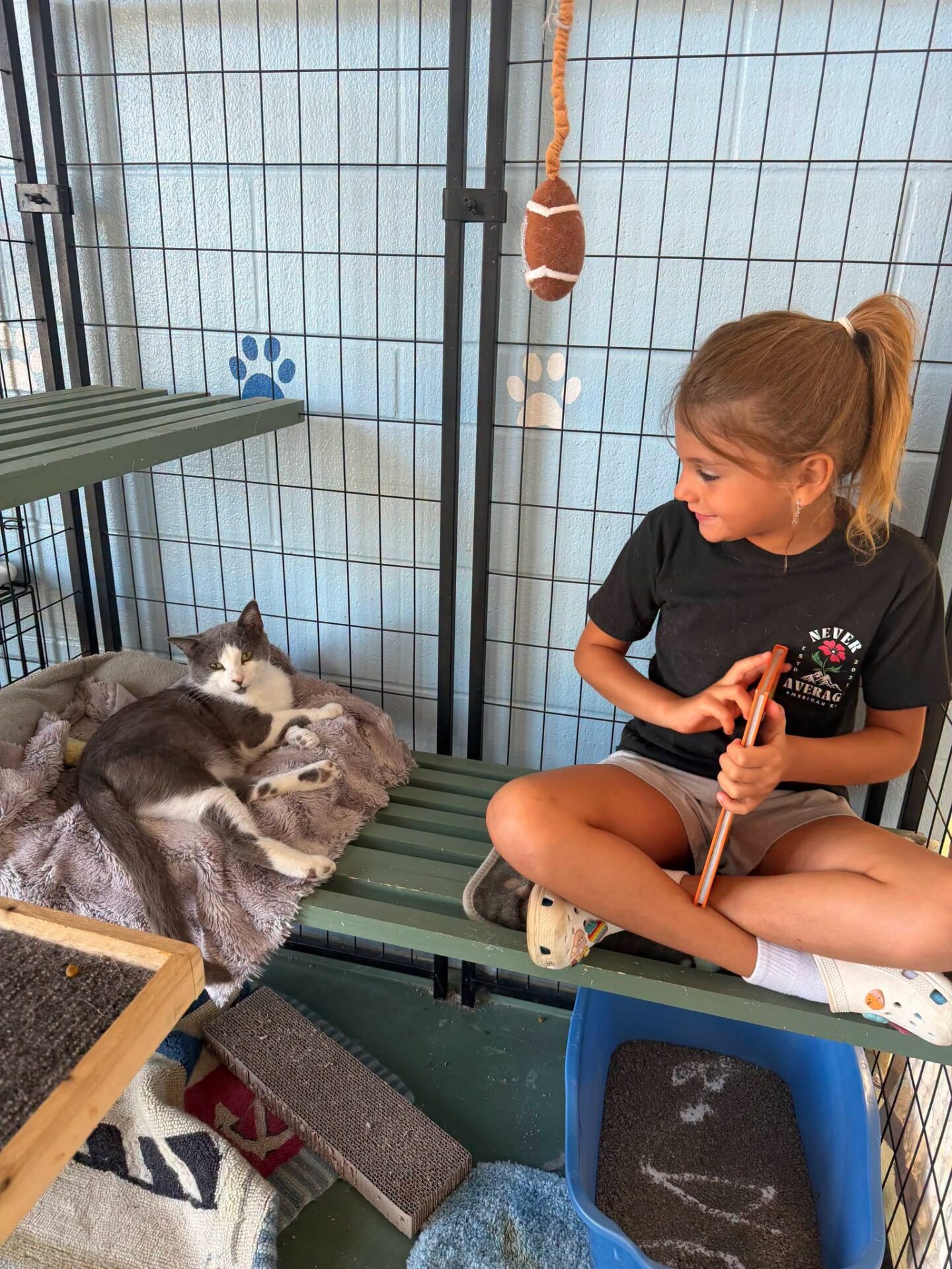 Humane Society of Whitley County celebrates hundreds of adoptions, reunions, and lifesaving services during the first six months of 2026